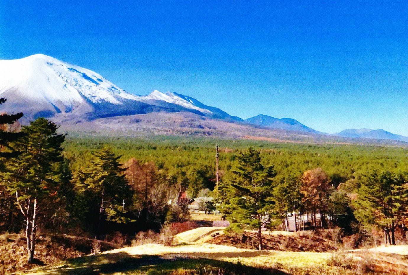 山と森の風景写真