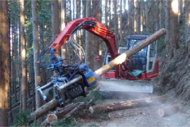 重機で木を持ち上げている写真